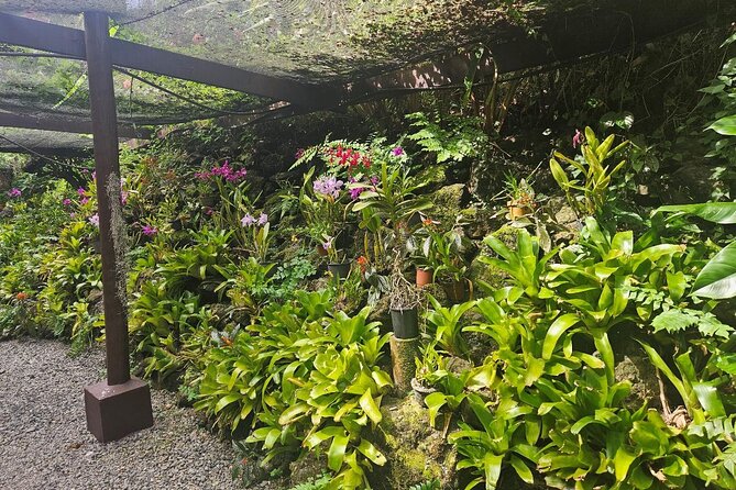 Private Tour: Hot spings & Sleeping Giant Garden hiking Adventure - FAQ
