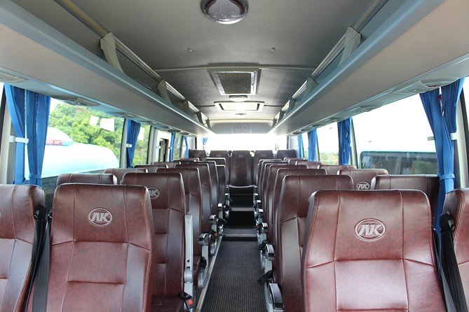 Private Transfer from Nadi Airport to Denarau Hotels/Double-Tree Fiji - Choosing a Vehicle for Your Party
