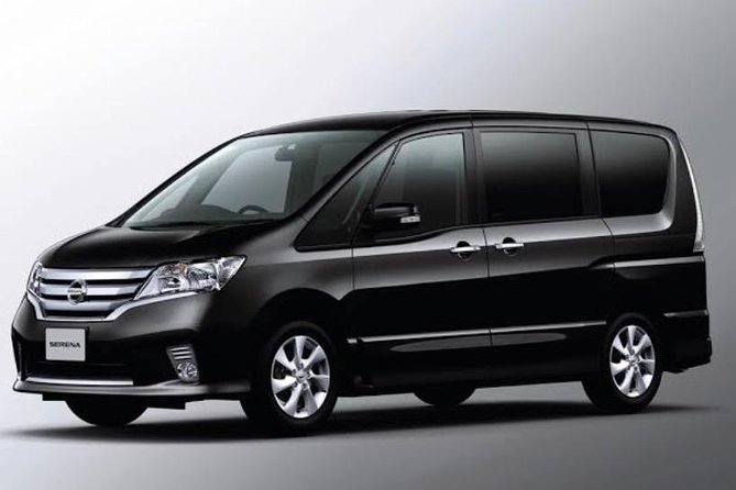 Private Transfers Nadi Airport-Outrigger Resorts/Crow's Nest Resort/ Bedarra Inn - What the private ride means for your group