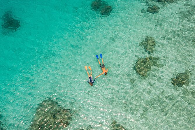 Ride & Slide by South Sea Cats - Half Day Snorkelling Trip - The Crew Makes a Difference