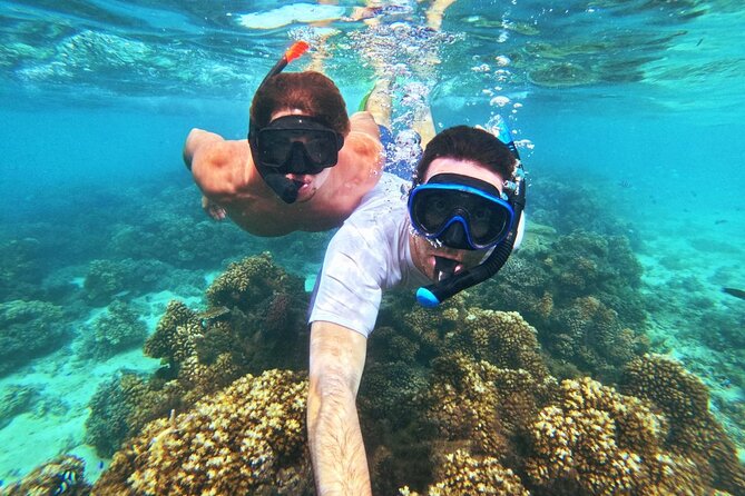 Ride & Slide by South Sea Cats - Half Day Snorkelling Trip - How the crew shapes the experience