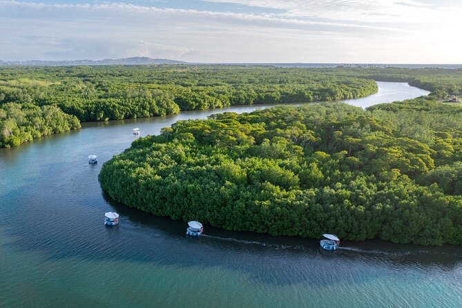 Self Drive BBQ eBoat Cruise with Onboard BBQ Denarau Fiji - Taking the Helm at Port Denarau Marina
