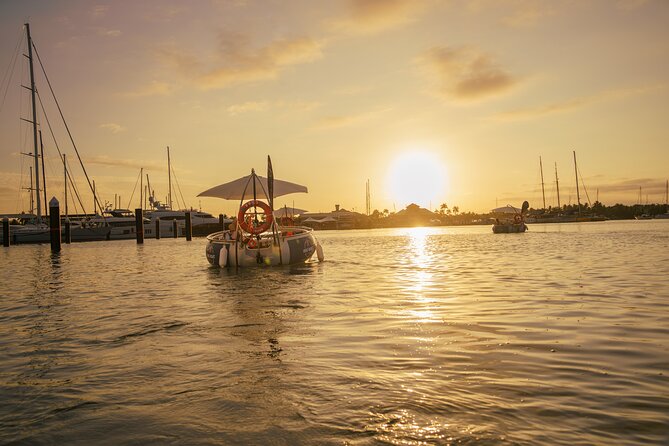 Self Drive BBQ eBoat Cruise with Onboard BBQ Denarau Fiji - Practical Tips for a Smoother Outing