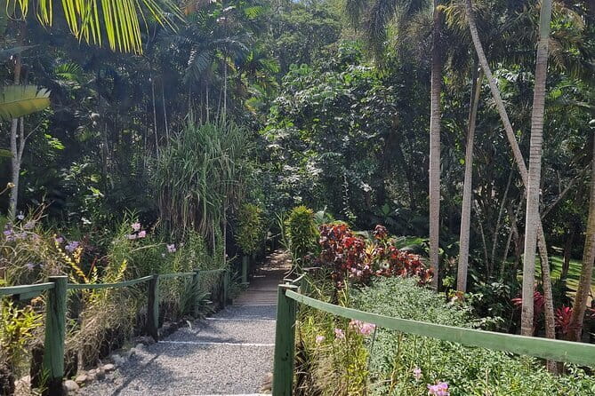 Sigatoka Sand Dunes Discovery - The archaeological and cultural side of the visit