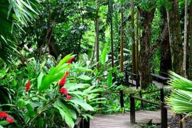 South Sea Island Half Day with Lunch & Drinks - What the $85.68 price really covers