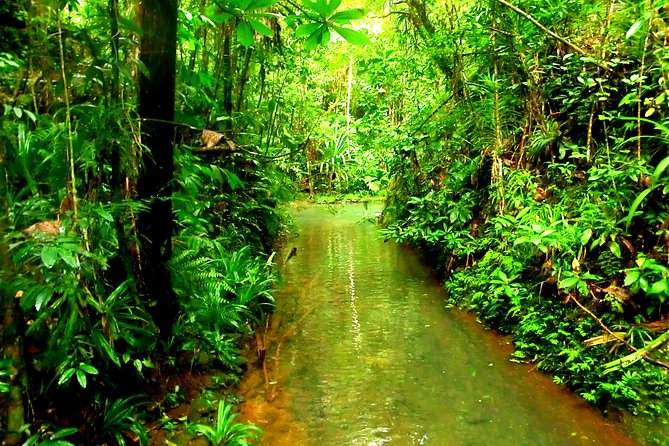 Suva Customized tour- Private - What the $108.18 price includes