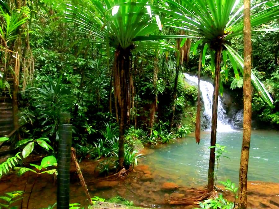 Suva: Fijian Nature and Waterfall Tour - Key Points to Know Before You Book