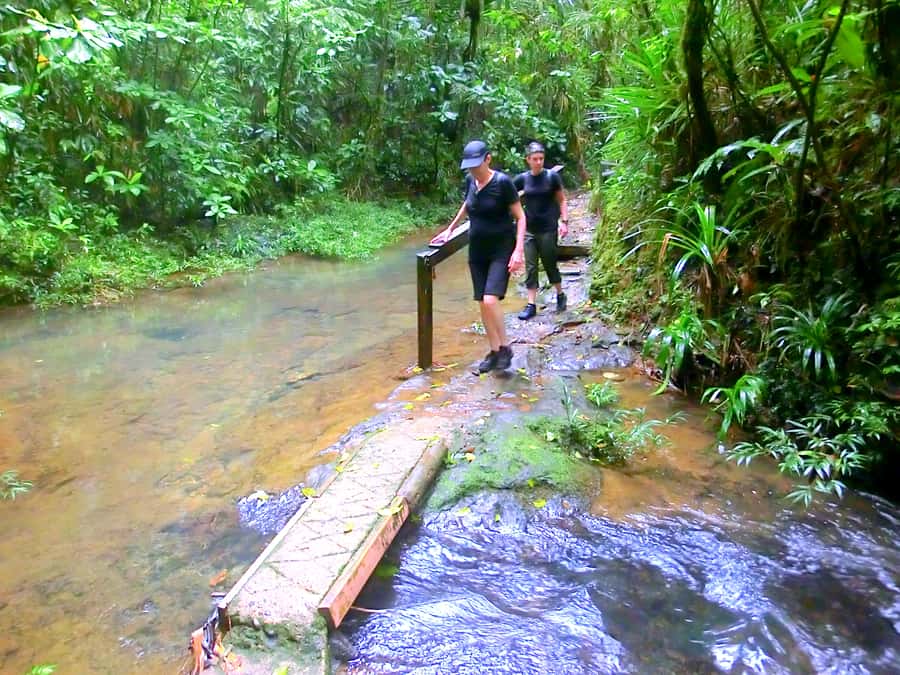 Suva: Fijian Nature and Waterfall Tour - Swimming at Waisila Falls