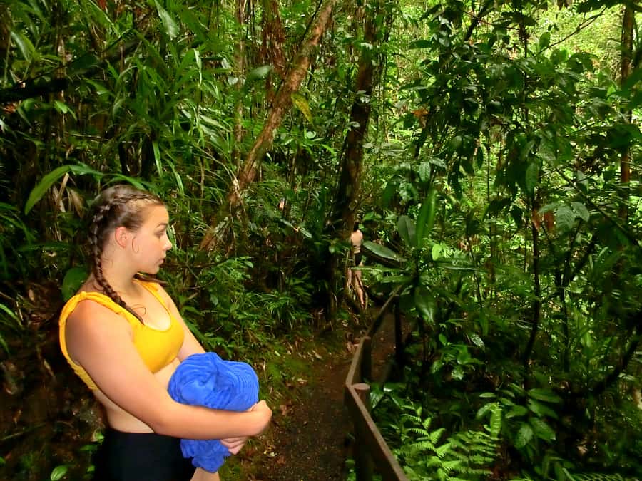 Suva: Fijian Nature and Waterfall Tour - What the Guides Add to the Experience
