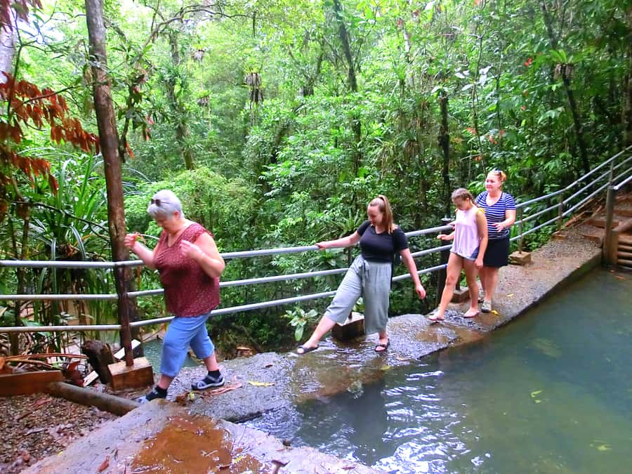 Suva: Fijian Nature and Waterfall Tour - Who Should Book This Nature Tour?