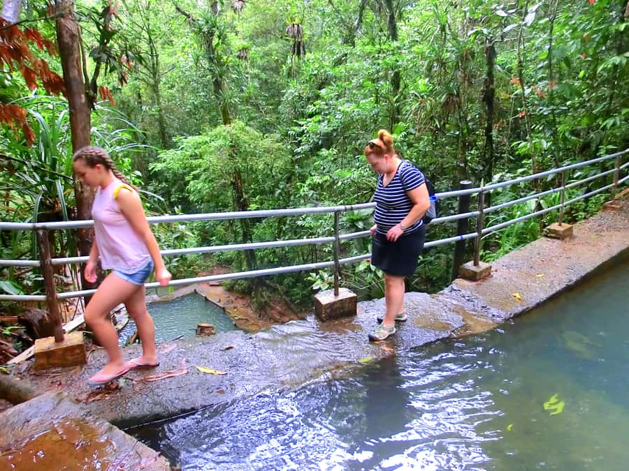 Suva: Fijian Nature and Waterfall Tour - Should You Book the Suva Waterfall Tour?