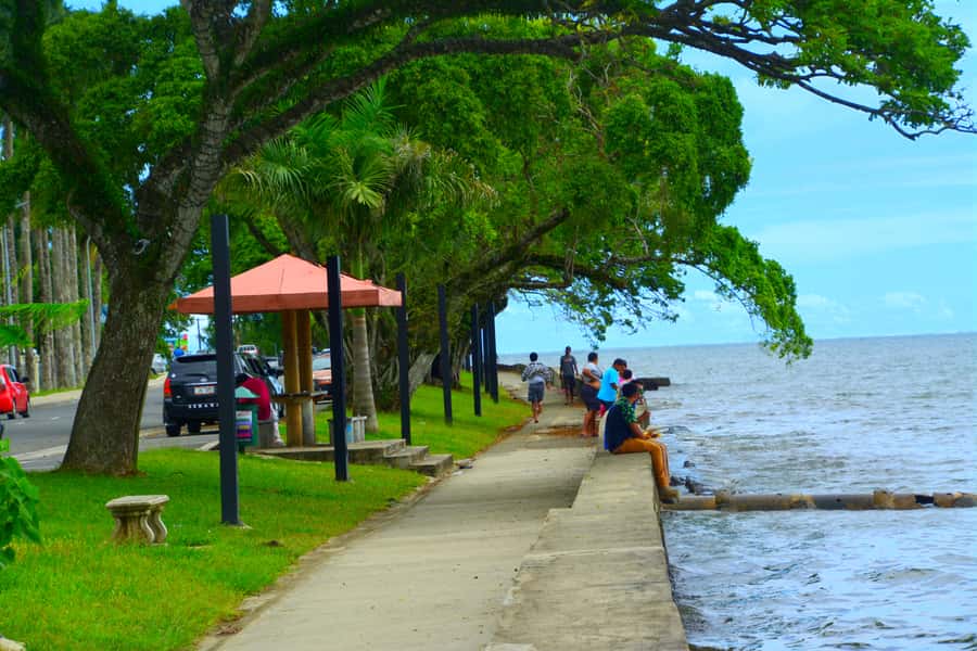 Suva: Half Day City Sightseeing Tour - Lunch and a taste of local life