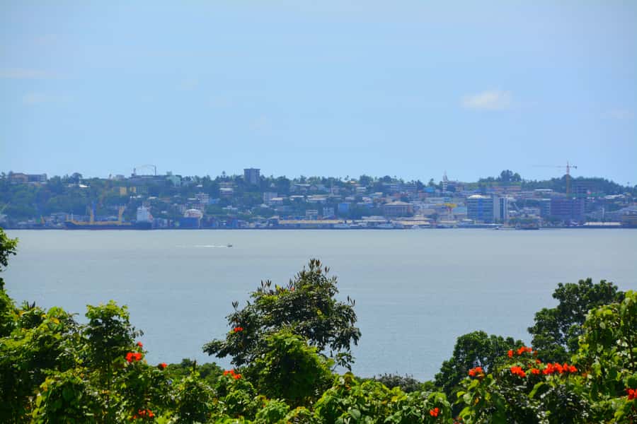 Suva: Half Day City Sightseeing Tour - Transport, timing, and the port pickup question