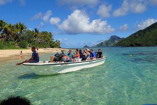 Ultimate Encounter Snorkel with Sharks in Fiji - Safety, swimming ability, and sensible behavior