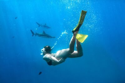 Ultimate Encounter Snorkel with Sharks in Fiji