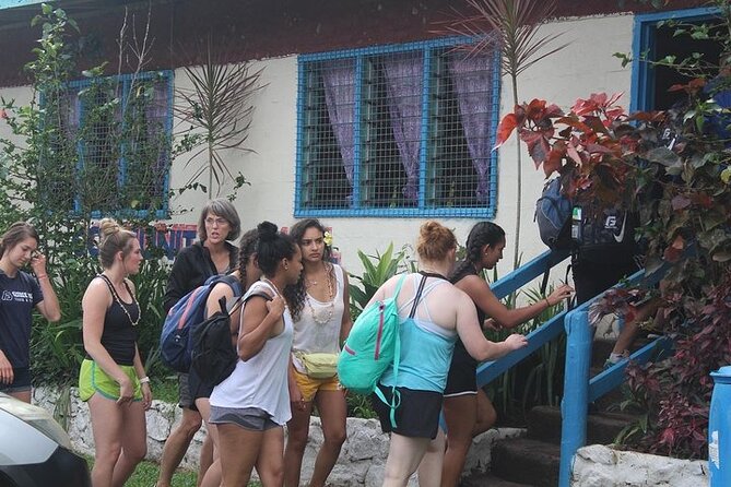 Waterfall and Fijian Village Tour with Light Lunch ex Nadi Area Hotels - Meeting a village through ceremony and story