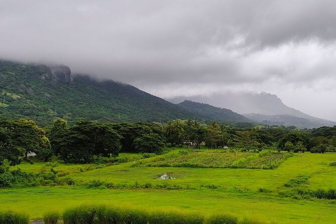 Waterfall and Fijian Village Tour with Light Lunch ex Nadi Area Hotels - Is the $135.93 price fair?