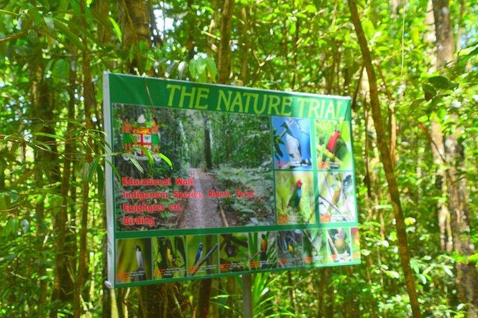 Waterfalls and Nature Tour - From Suva to Colo-I-Suva Forest Park