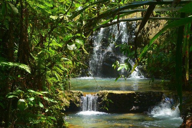 Waterfalls and Nature Tour - Waisila Falls and the forest walk