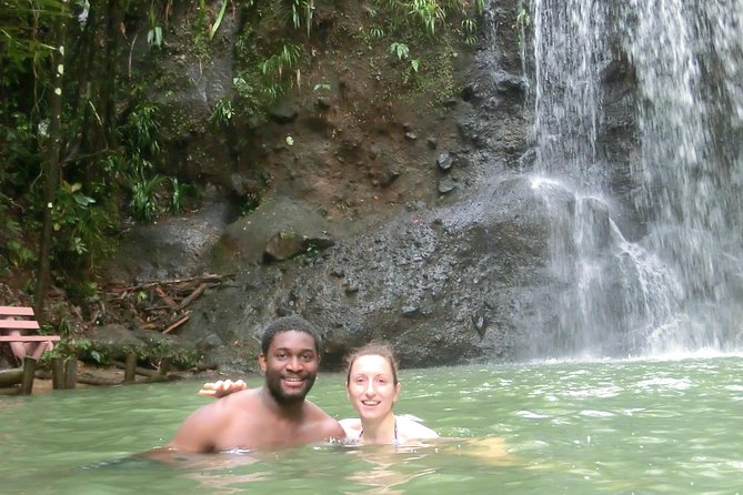 Waterfalls and Nature Tour - A picnic beneath the trees