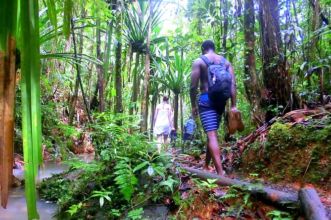 Waterfalls and Nature Tour - How hard is the hike?