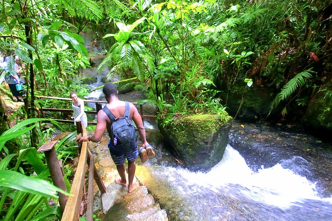 Waterfalls and Nature Tour - What the private format is worth at $91.72
