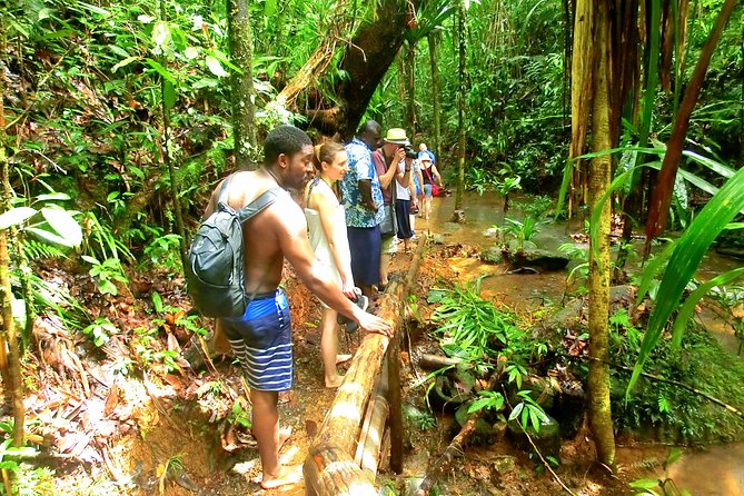 Waterfalls and Nature Tour - What to pack for this rainforest outing