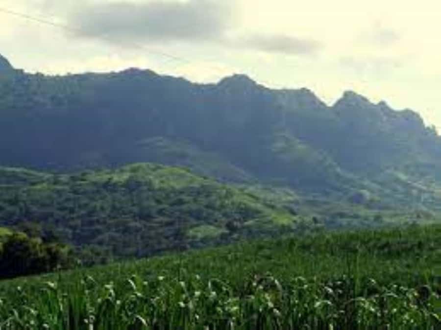 Zipline, Cave, Seaview & Mud Spa Tour with Lunch Included - Who will enjoy this most